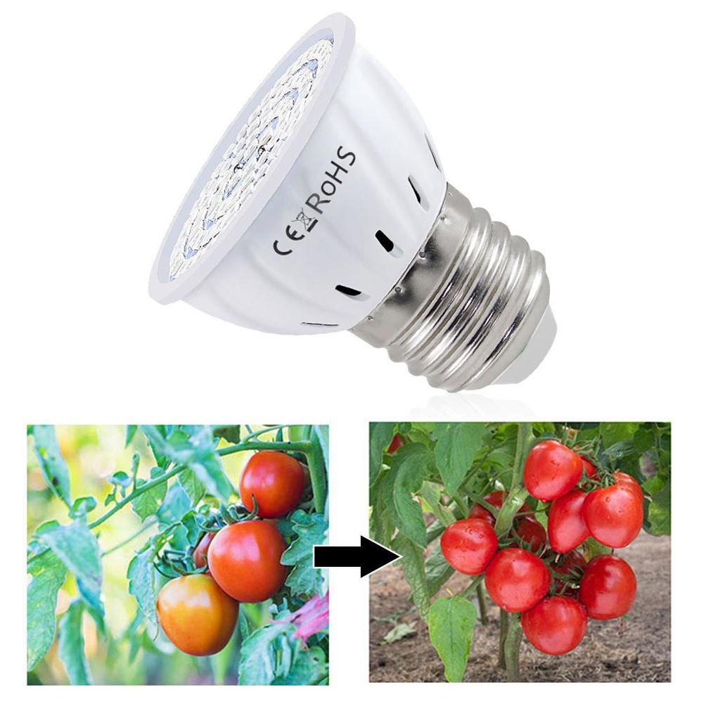 Grow Light Bulb,Full Spectrum 7W Grow Lamp (50 Watt Equiv),E26 Base Perfect for Seeding and Growing of Indoor Plants