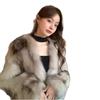Imitation Fox Plush Fur Coat Women's Fashion Autumn and Winter Light New Plush Short Coat Young