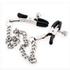 Women Nipple Clamps Tools Stainless Steel Metal Chain Nipple Clips Labia Clamp Slave Bondage BDSM Adult Games Couples Sex