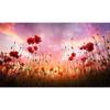 Red Poppies Flowers Canvas Prints Modern Wall Art Canvas Posters and Prints Cuadros Nordic Pictures for Living Room Decor