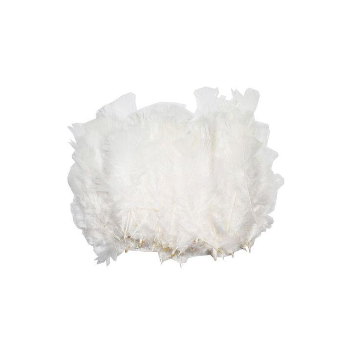 Plumes de dinde 12/18 cm 25g Blanc