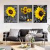 Sunflower Wall Painting Black and White Posters Living Room Decoration Canvas Art Hd Print Vintage Picture Home Decor Cuadros