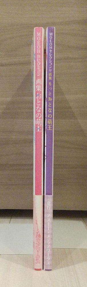 [USED] Art Book: Adult Moe King, More Adult Moe King, 2-Book Set