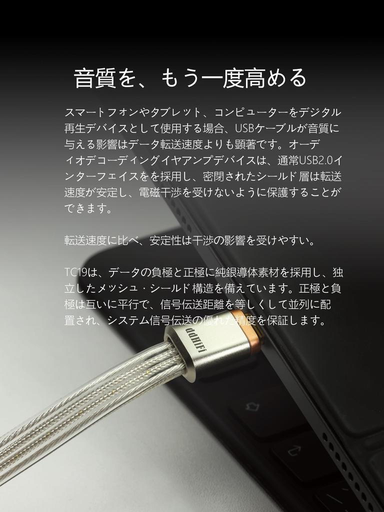 ddHiFi TC19CC (Comet) Flagship Pure Silver Dual USB-C HIFI Shielded Decoder Sterling Silver Audio Signal Upgrade Cable 4-Wire Parallel Design (10CM)