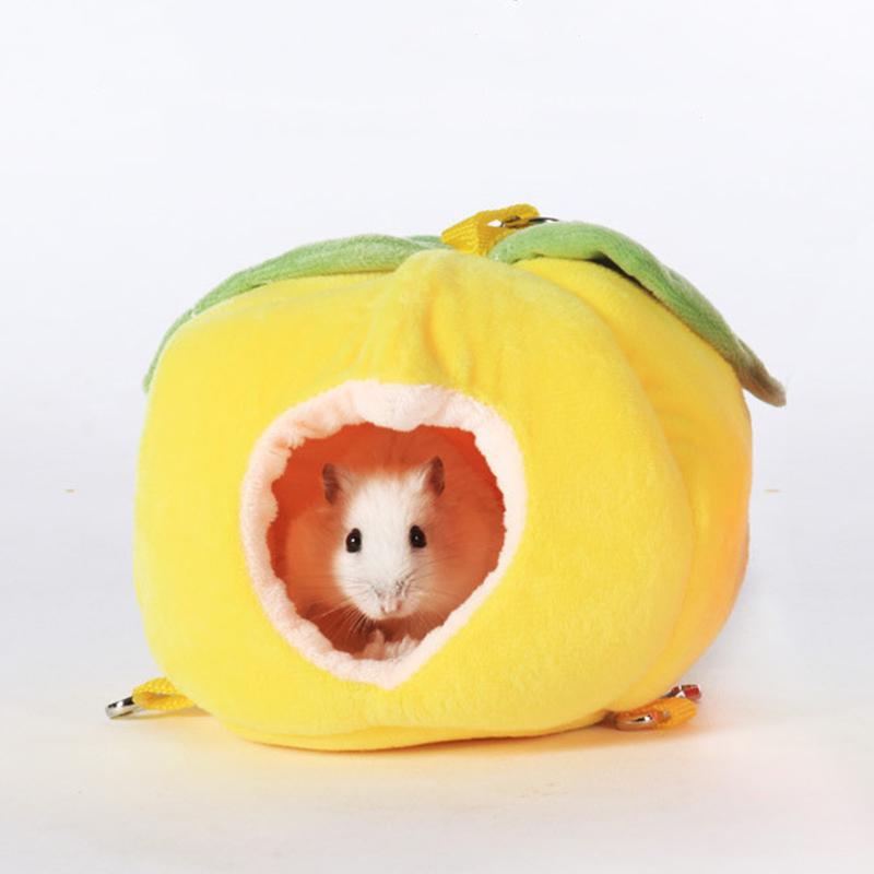 hamster hide house