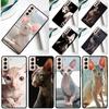 Sphynx Cat Phone Case For Samsung Galaxy S25 Ultra S24 Ultra S9 S10 S20 S21 S22 S23 Plus S24 FE Cover