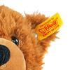 Charlie Teddy Bear 30cm Plush Toy