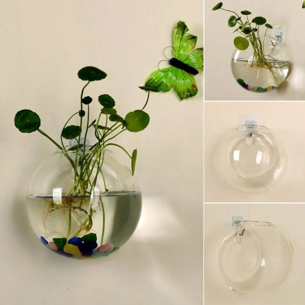 3Pcs Round Wall-Hanging Glass Vase Minimalist Transparent Hydroponic Planter Green Plant Decoration for Home and Garden Care