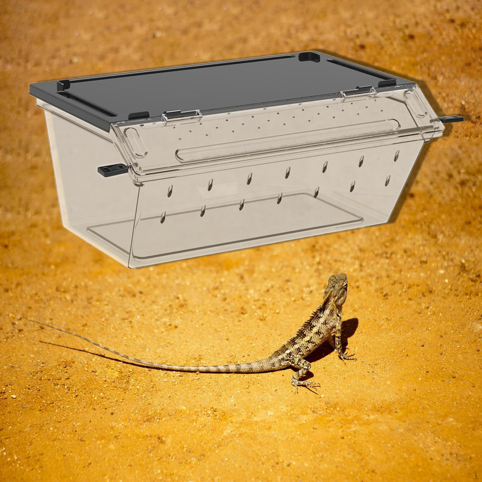 

Коробка для разведения рептилий Клетка-террариум для содержания животных Дышащий прозрачный террариум для чёрный