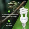 UVB 5.0 10.0 Reptile Heating Lamp 13W /26W UV Energy Saving Bulb Terrarium Basking Reptile Light Turtle Lizard Snake Lamps