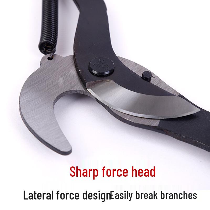Telescopic High-Branch Pruner & Saw for Fruit Picking and Tree Pruning
