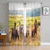 Black White Horse Watercolor Painting Tulle Sheer Window Curtains for Living Room Kitchen Children Bedroom Voile Hanging Curtain