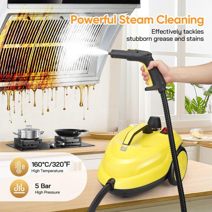 2 L Multipurpose High-Temperature Steam Cleaner, 320 F - 13 Accessories for Upholstery, Floors and Cars