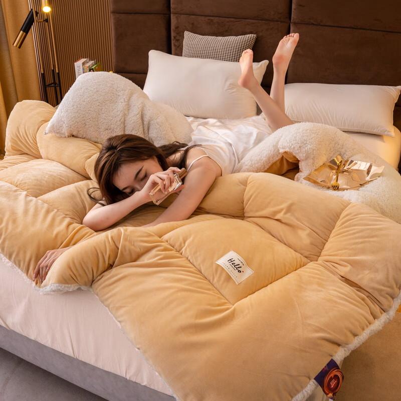 

LISM Double-Sided Lamb & Milk Velvet Winter Quilt