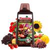 Fertilizante Plantella para Gramado de Primavera Nitrogênio Para Gramíneas Ornamentais 1Kg