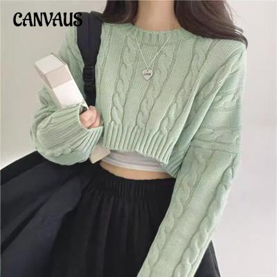 Pull Grande Taille pour Femme Col Rond Pull Ample Manches Longues Haut