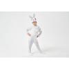 Parent-child adult new products, men and children's June 1 performance clothes, fluffy rabbit animal costumes