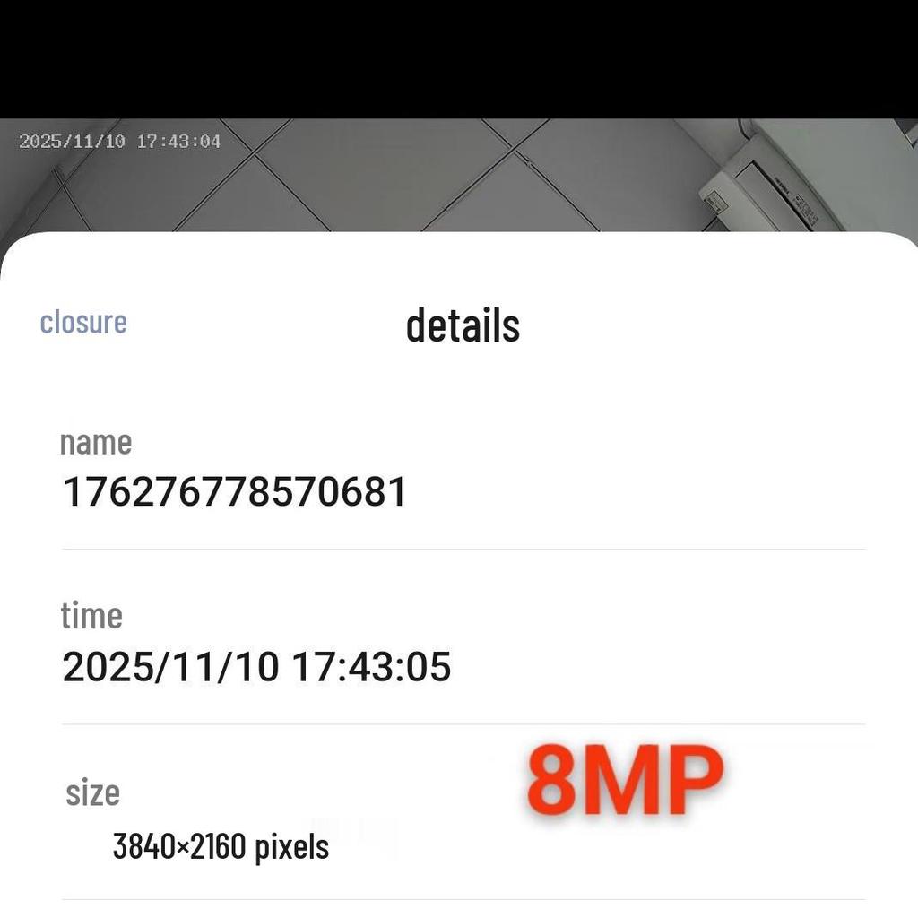 8MP Graffiti Outdoor WiFi Camera with Dual Light Night Vision - TUYA Compatible High-Demand Model