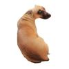 3D Lifelike Animal Cute Bend Dog Printed Throw Pillow Funny Dog Head Cosplay Children Favorite Toy Cushion for Home