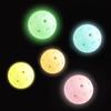 Lichtgevende Pickleball 74 mm Duurzaam Nachtlampje Groene Bal 40 Gaten Buitenwedstrijd Pickleball Ballen Gloeiend in het Donker