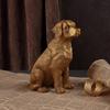 Golden Animal Series Ornament Toys: Simulated Pet Dog Decor for Living Rooms