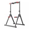 Home Foldable Pull-Up & Dip Bar