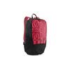 Backpack 079911