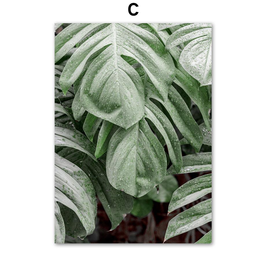 Zelená rostlina Agáve Kaktus Linie Geometrie Abstraktní Plakátový Tisk Plátno Malba Severské Nástěnné Umění Obrázky pro Obývací Pokoj Domácí Dekorace