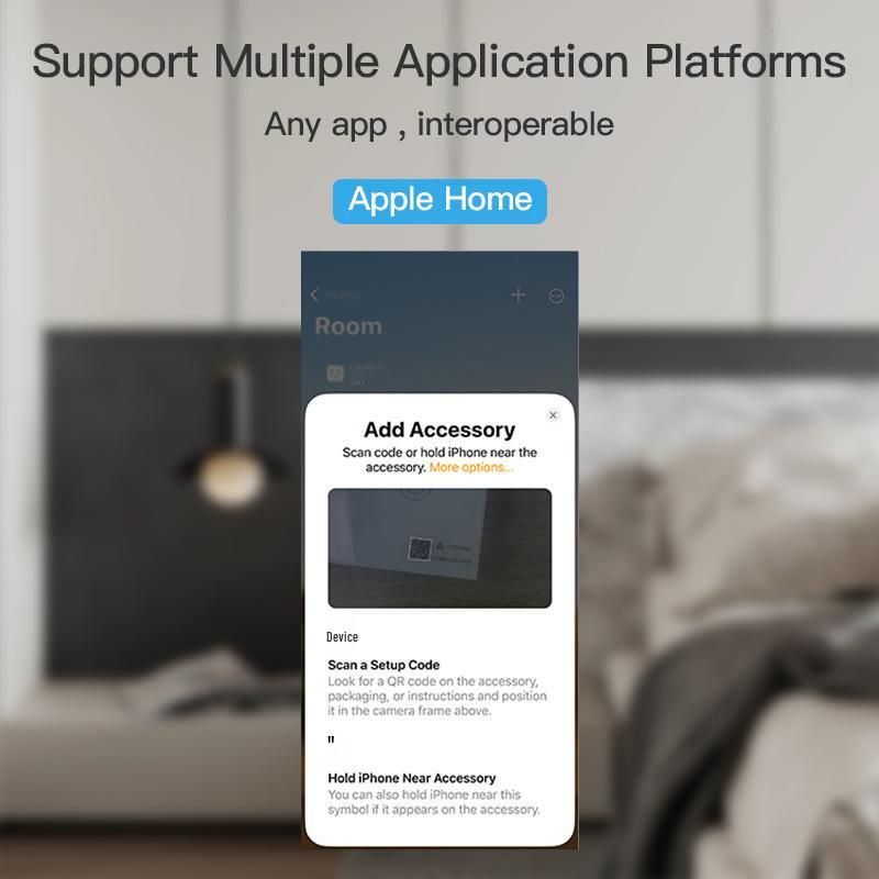 Smart HomeKit WiFi Voice-Controlled Hidden Switch