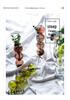 Weixun Korean Bubble Glass Vase - Spherical Hydroponic Flower Decoration Prop