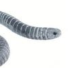 PVC Caecilian Collectible Model Lifelike Miniature Tropical Amphibious Caecilian Figurine Animal Boys Girls Educational Toy Decoration