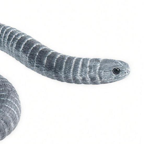 PVC Caecilian Collectible Model Lifelike Miniature Tropical Amphibious Caecilian Figurine Animal Boys Girls Educational Toy Decoration