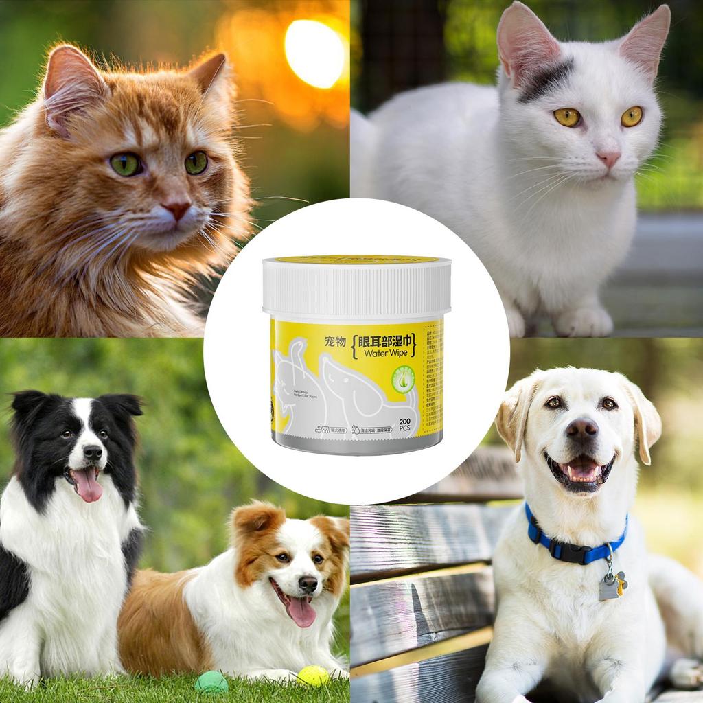 Dog Ear Wipes 200 Pieces Wet Moisturizing Pads Dog Wet Wipes for Cats Puppies Kittens Home Travel Walking Indoors Outdoors