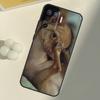 Chihuahua Hund Für OPPO Find X3 Lite X5 Pro A5 A9 A31 A53 S A83 A91 A93 A54 A74 A94 A15 A16 A52 A72 Hülle