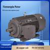 Yinmengda 1MT0 Series Dustproof & Explosion-proof Copper Coil 3-Phase Motor