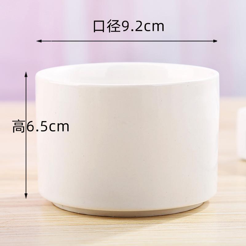 White Porcelain Succulent Flower Pot Home Gardening Copywriting Ceramic Small Pot Cross-border Simple Succulent Planting Pot