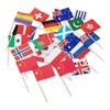 100 Different National Flag Toothpicks Flags Decorates Your Party and Restaurant Cocktails Flag