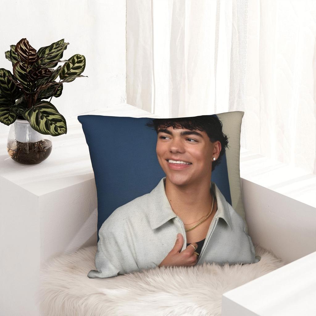 Malachi Barton Pillow Covers Stuff Soft Cushion Cover Gift Throw Pillow Case Cover Home Multiple Sizes