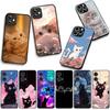 For Motorola Moto Edge 70 60 Fusion 40 NEO 20 Pro G Stylus G56 G96 G71 G73 G52 G41 G42 G50 G51 Case Kitten Cat Meow Wallpaper