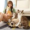Yuzu Sweet Plush Cat Doll Realistic Grey And White Kitty Toy