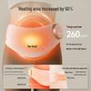 BEAR Portable Heated Lumbar Massager CN Plug (adapter Included)