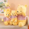 10th Anniversary Winnie the Pooh Plush Pillow Doll