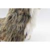 Hansa HANSA Raccoon 25 Plush Toy