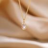 Women's Elegant Light Luxury Clavicle Necklace – Versatile, Fashionable, High-End Feel