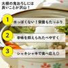 Sakai Sangyo Oni-Oroshi (Carbonized) Made in Japan, Kyushu Bamboo Grater, Daikon Radish Grater, Grat