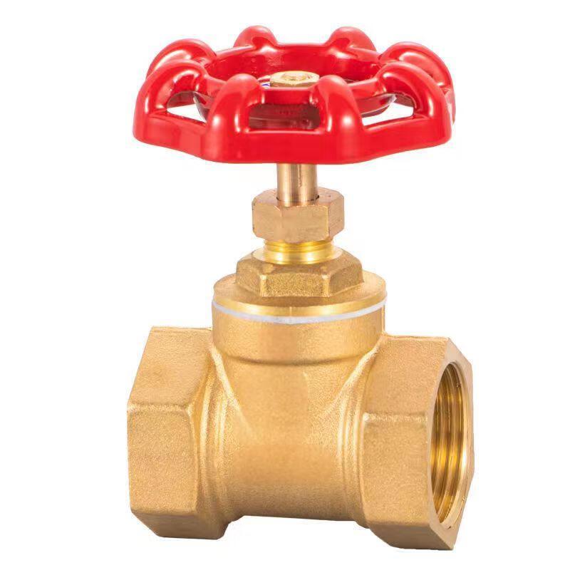 Brass Globe Valve