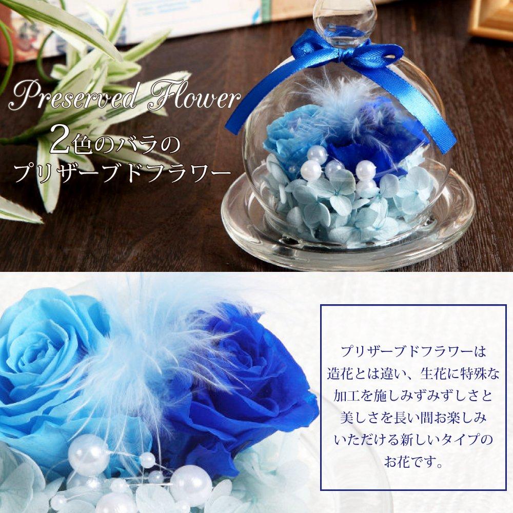 Teatsite Preserved Flower Arrangement, Pre-Wrapped, Glass Pot, 2 Flowers (5 Blue Roses)
