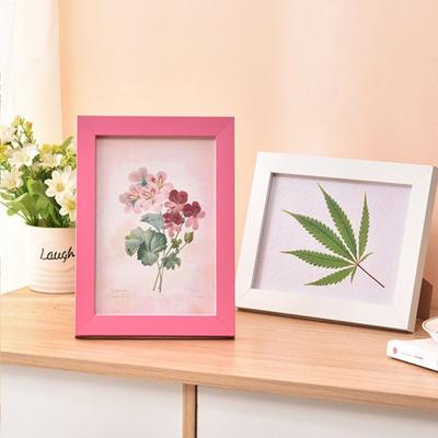 INS Colorful Photo Frame Drawings Handcraft Picture Frame Multi Size DIY Display Holders Home