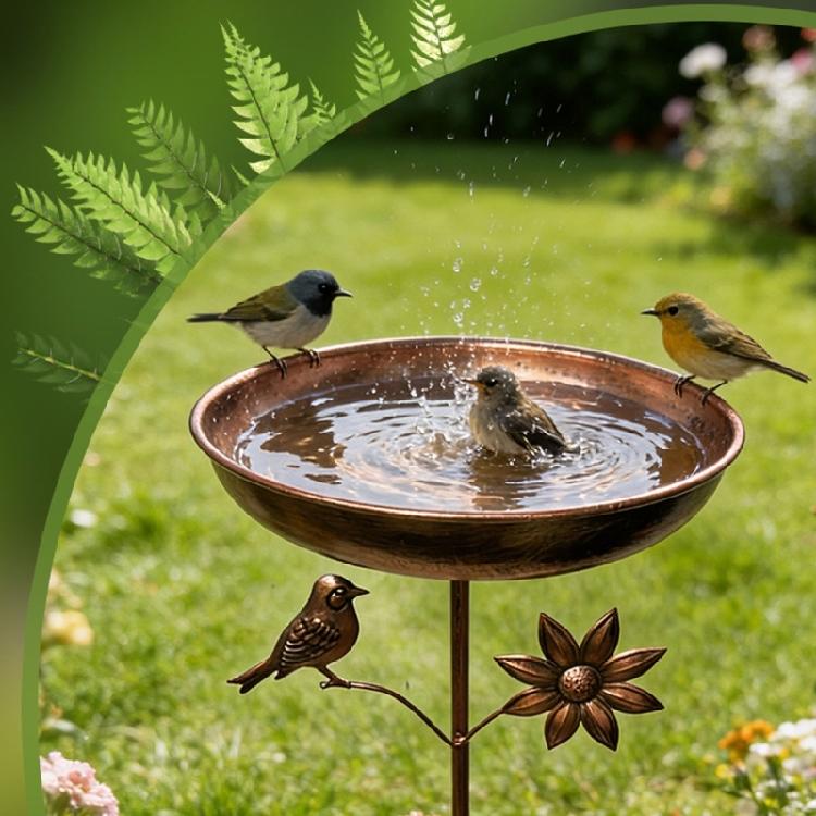 Strong Antique Look Outdoor Bird Bath Providing A Safe Drinking Area For Flying Visitors