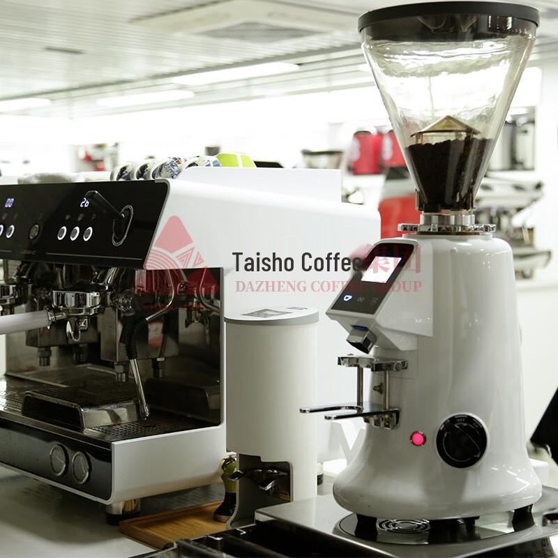 LEHEHE LHH600AD Electric Coffee Grinder